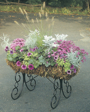 Classic Ironwork Cradle Planters - World of Greenhouses - 2