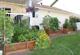 OLT Raised Garden Bed 6'x3' - World of Greenhouses - 3