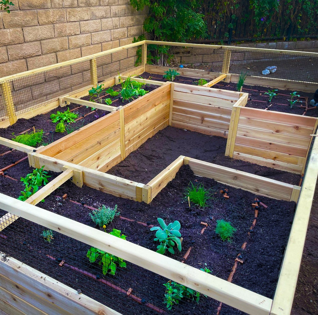12x8 wheelchair accessible raised cedar garden bed, lifestyle photo