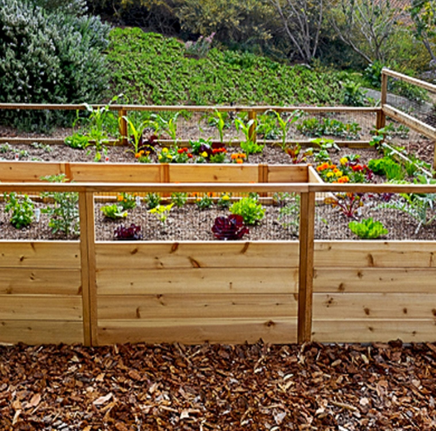 8'x12' raised cedar garden bed, view 2