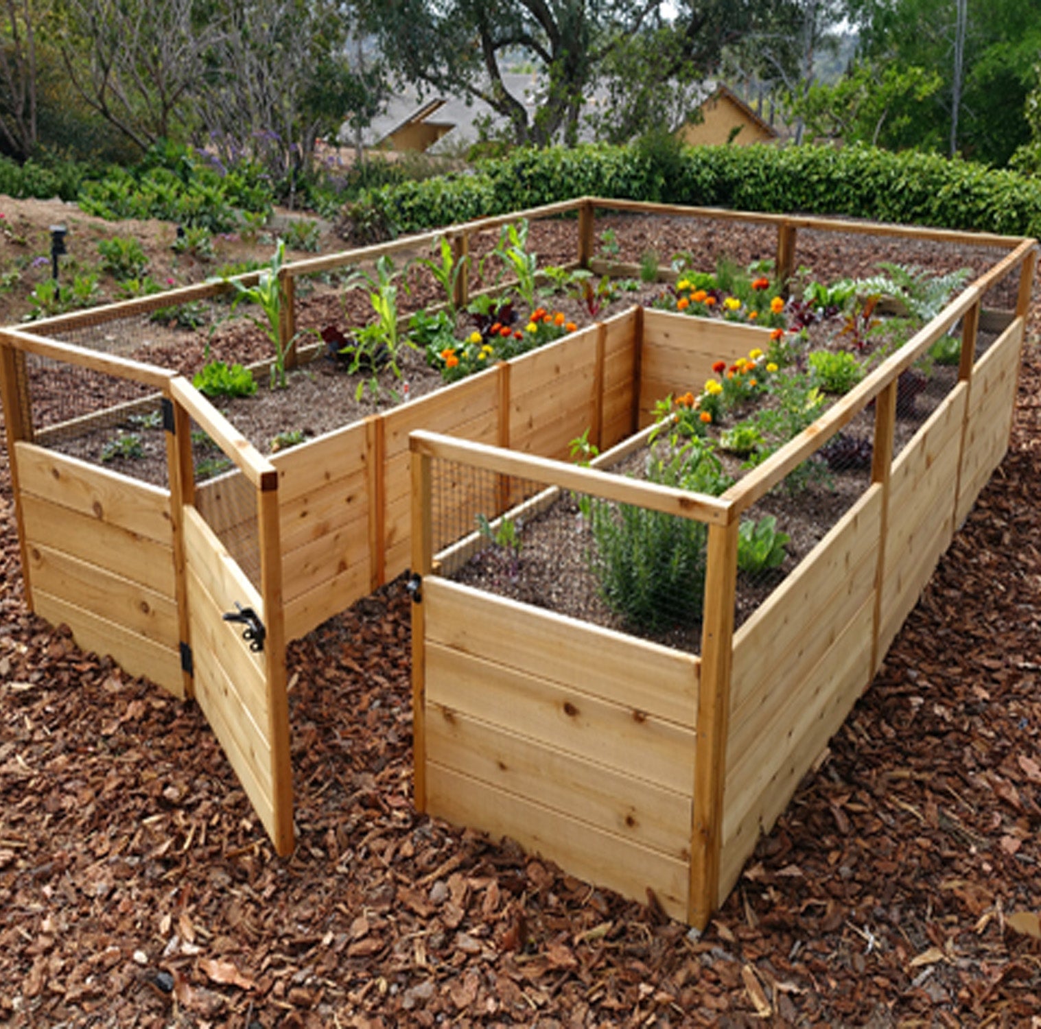 8'x12' raised cedar garden bed, view 3