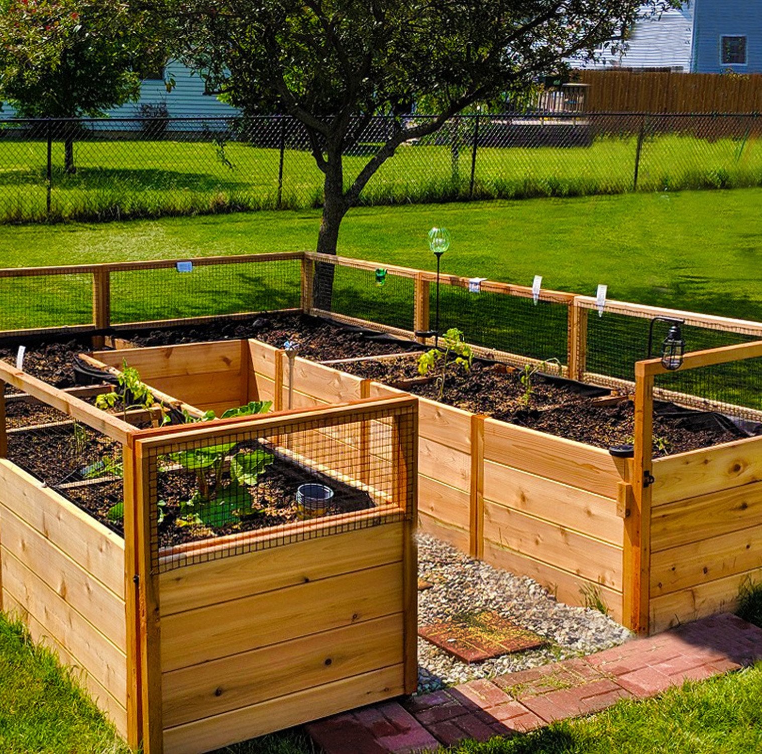 8'x12' raised cedar garden bed
