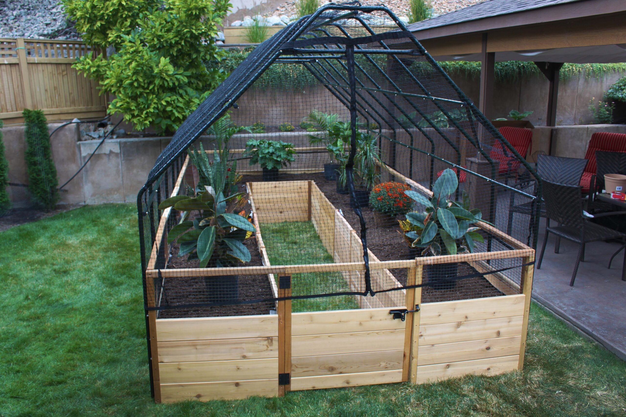 OLT Raised Cedar Garden Bed  With Bird Netting - 8'x8', 8'x12' or 8'x16'