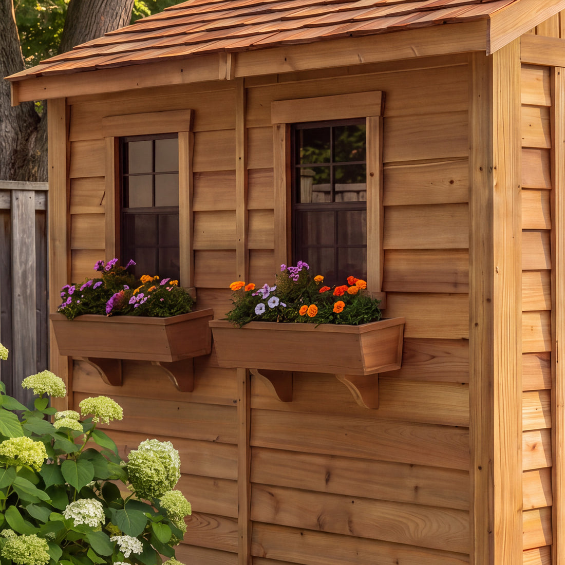OLT 8x8 Cedar Shed