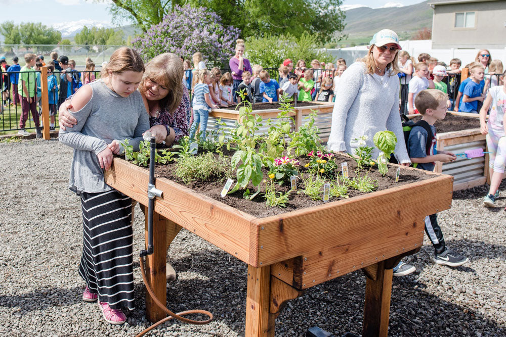 ADA garden bed in use by adult