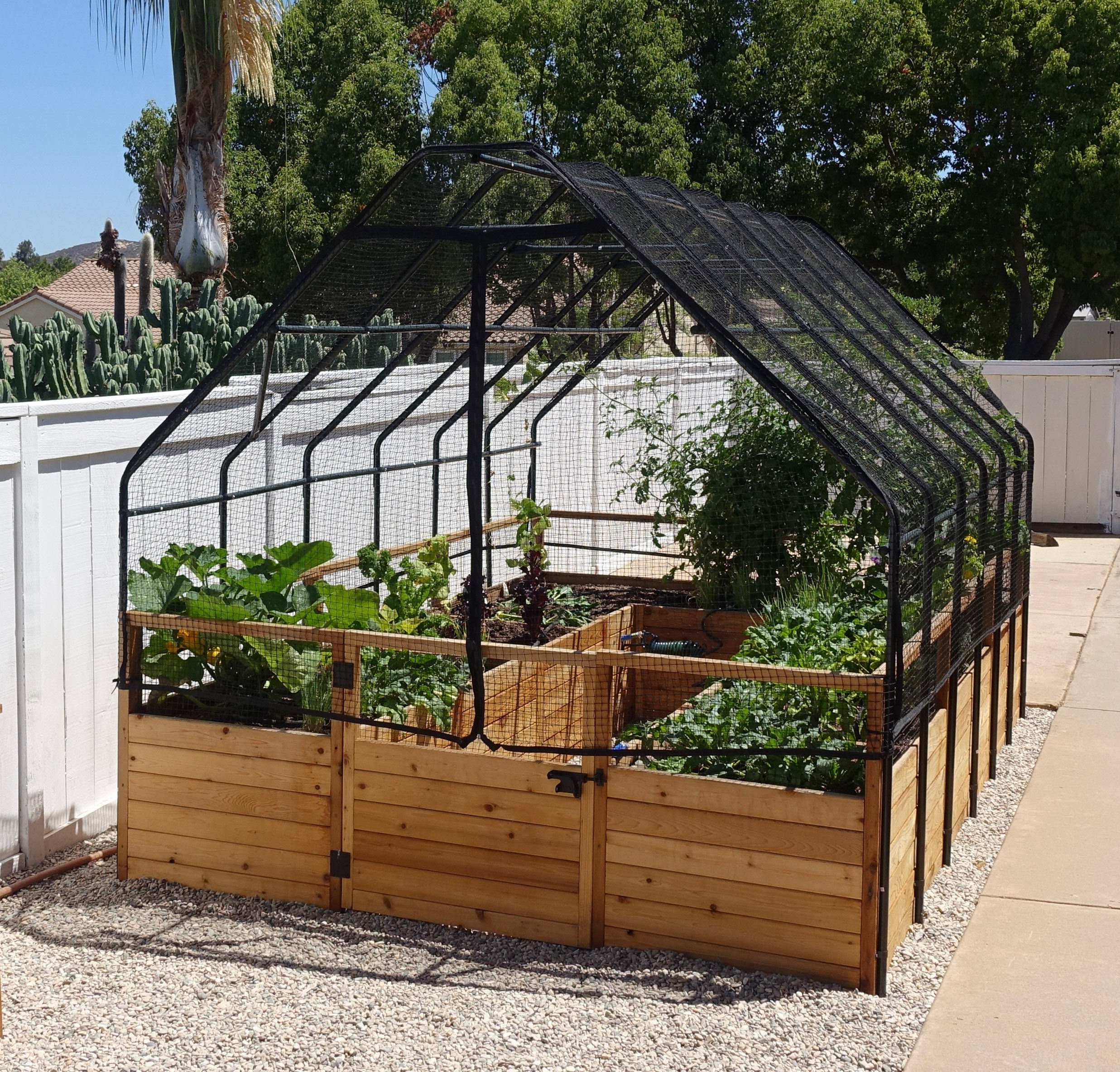 Close-up of bird netting on raised cedar garden bed
