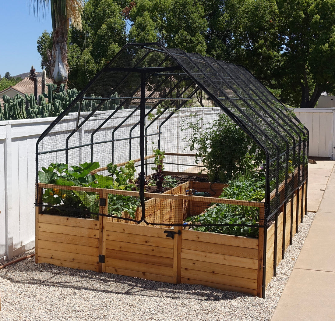 Close-up of bird netting on raised cedar garden bed