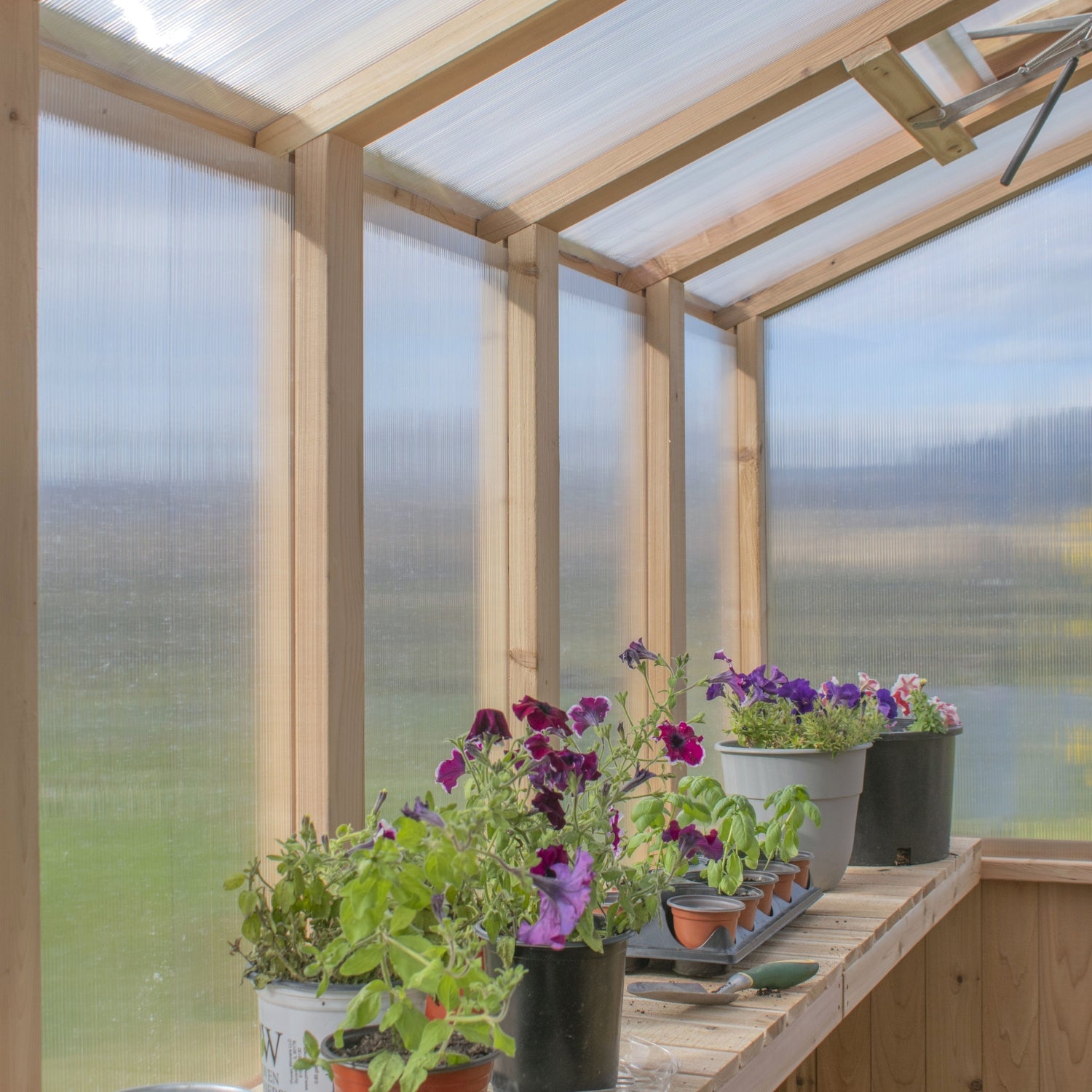 OLT Cedar Greenhouse 8x12, product photo, view 5