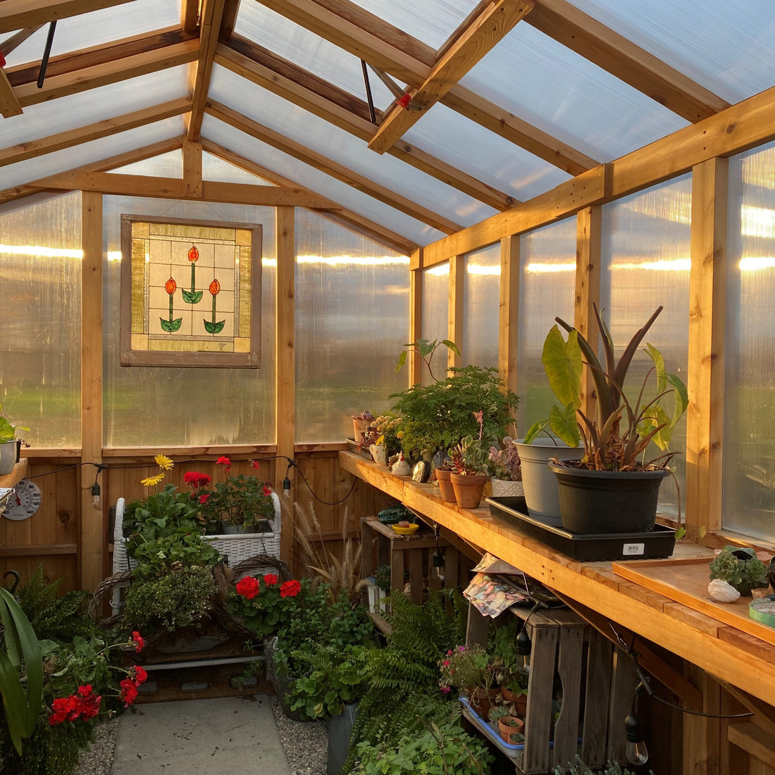 OLT Cedar Greenhouse 8x12, interior view