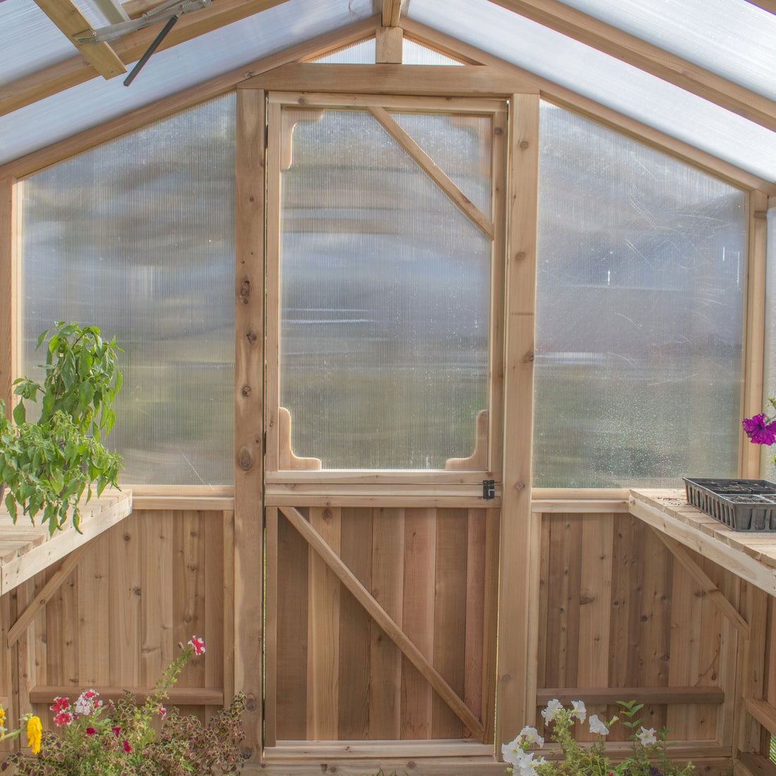 OLT Cedar Greenhouse 8x8, close-up view, alternate angle
