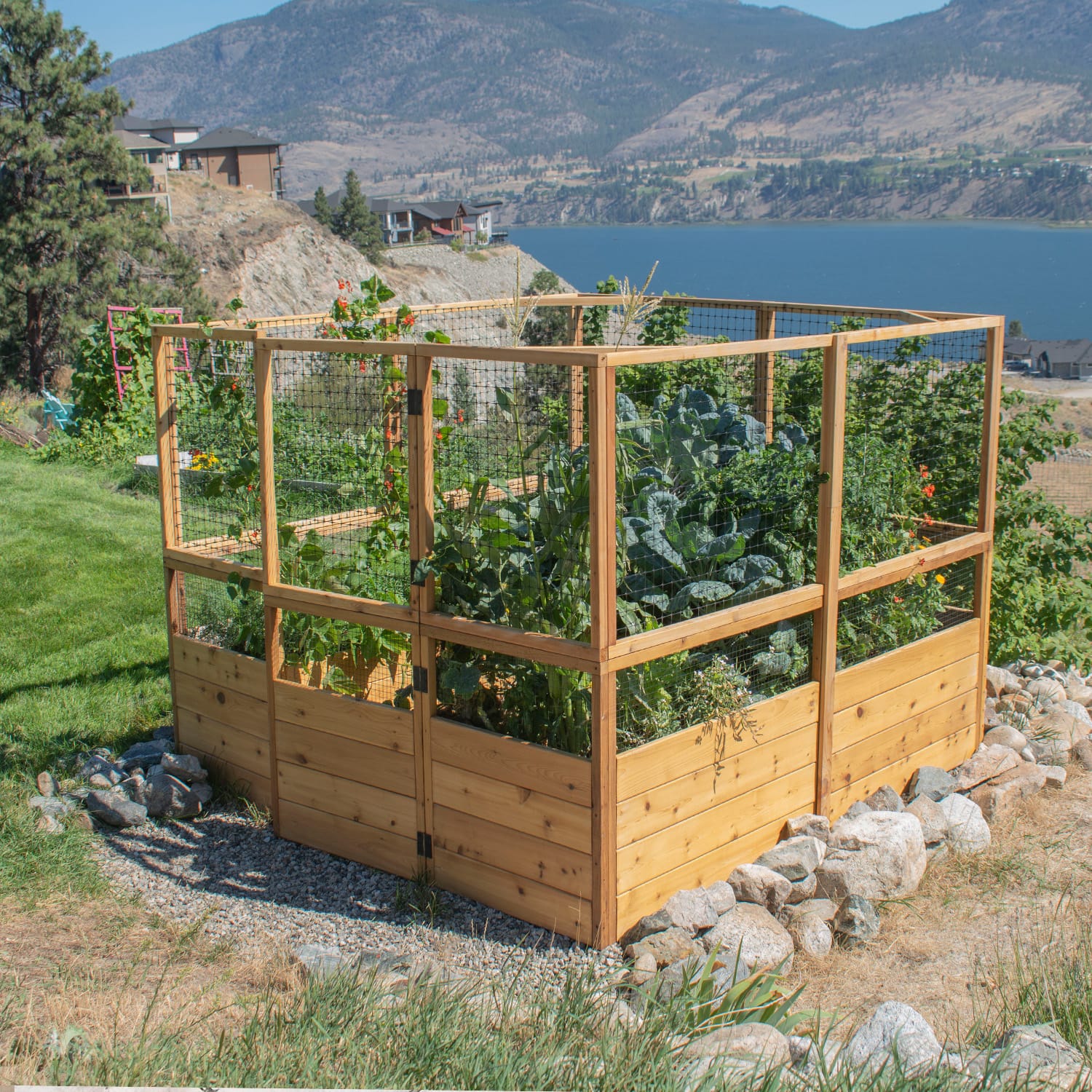 8x8 cedar raised garden bed with deer fence kit installed