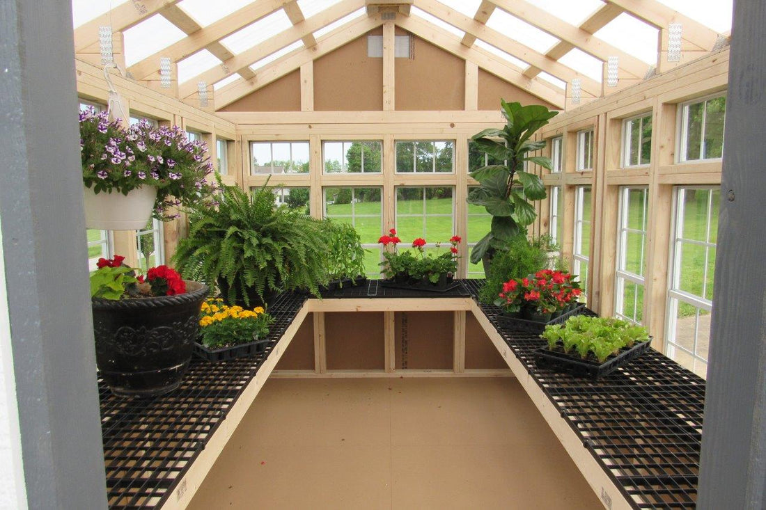 EZ-FitGreenhouse interior with plants on a raised garden bed