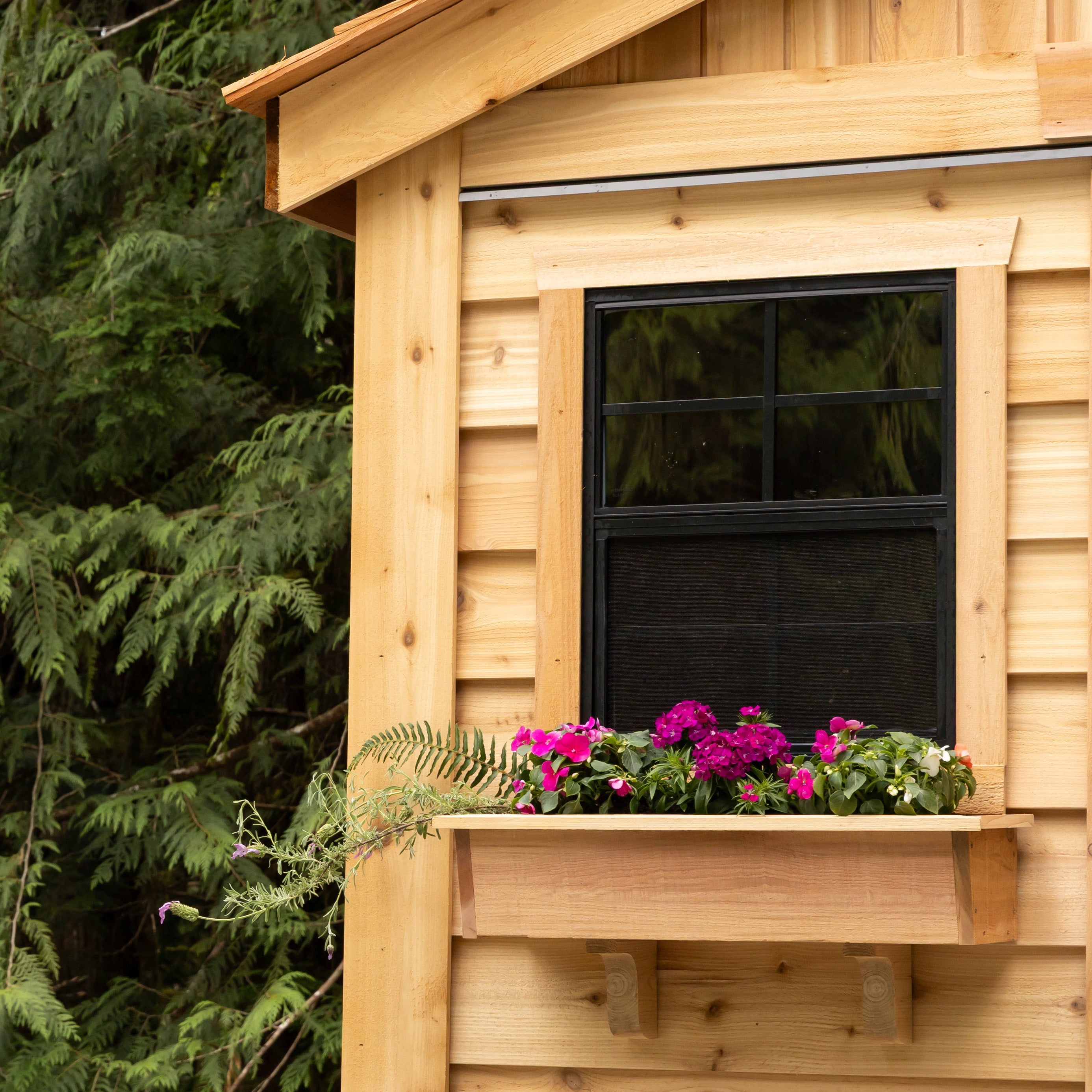 OLT Sunshed Garden Shed, front window detail