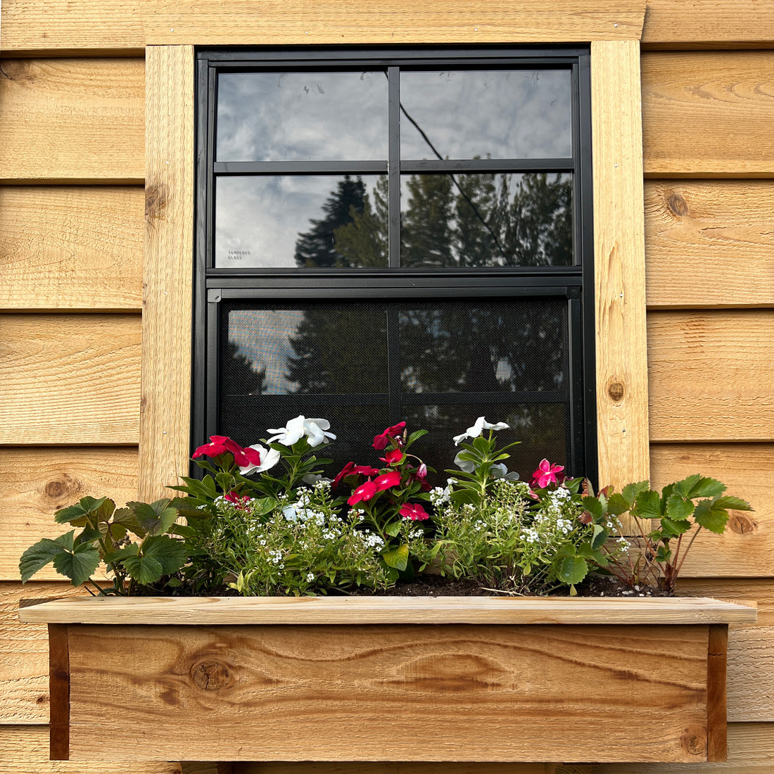 OLT 8’x4′ Cedar Shed With Screened Window and Flowerbox