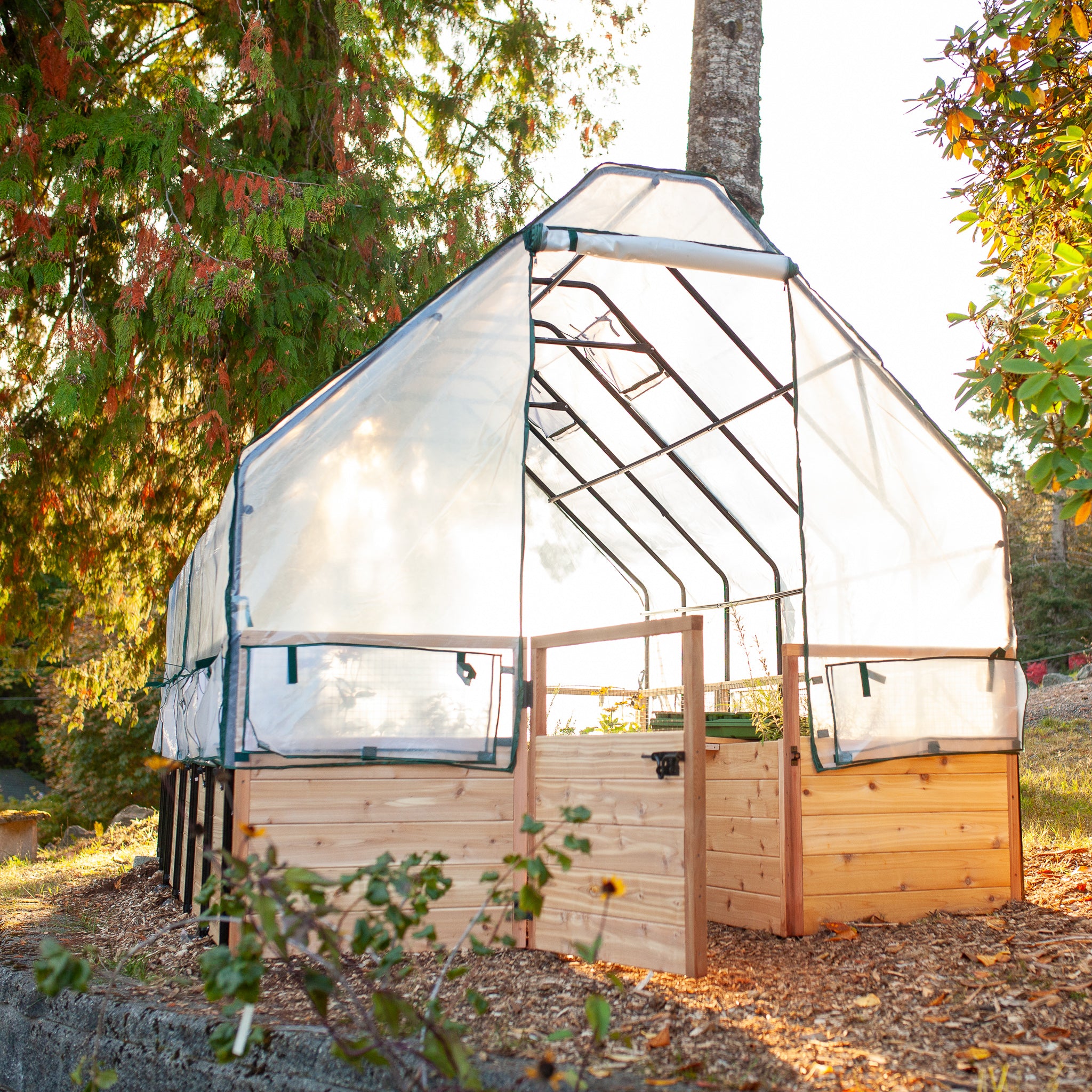 Raised cedar garden bed with greenhouse cover, lifestyle photo