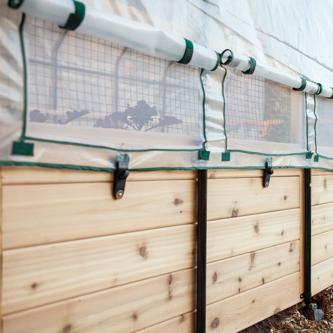 Raised cedar garden bed with greenhouse cover in a backyard garden setting