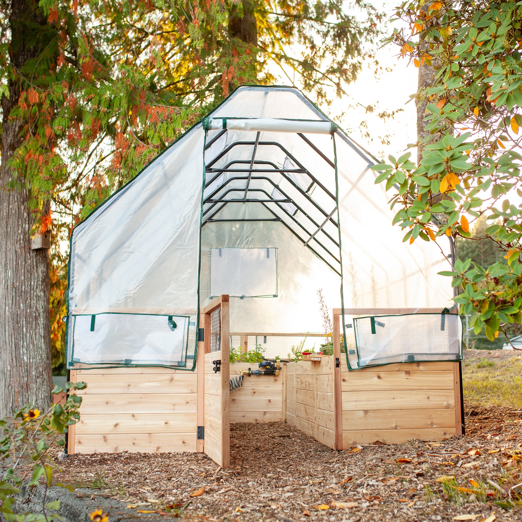 Raised cedar garden bed with greenhouse cover, lifestyle photo