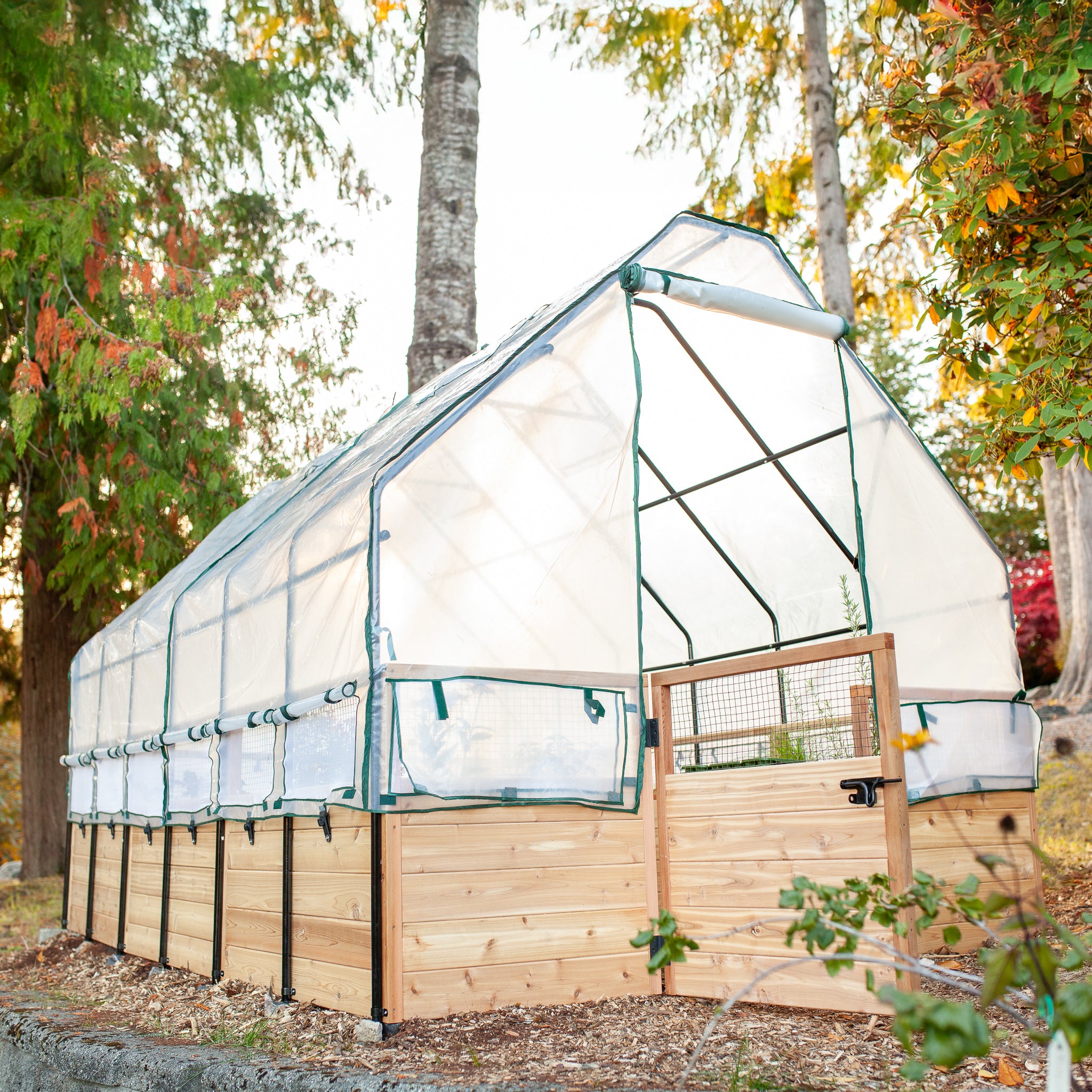 Raised cedar garden bed with greenhouse cover, lifestyle photo