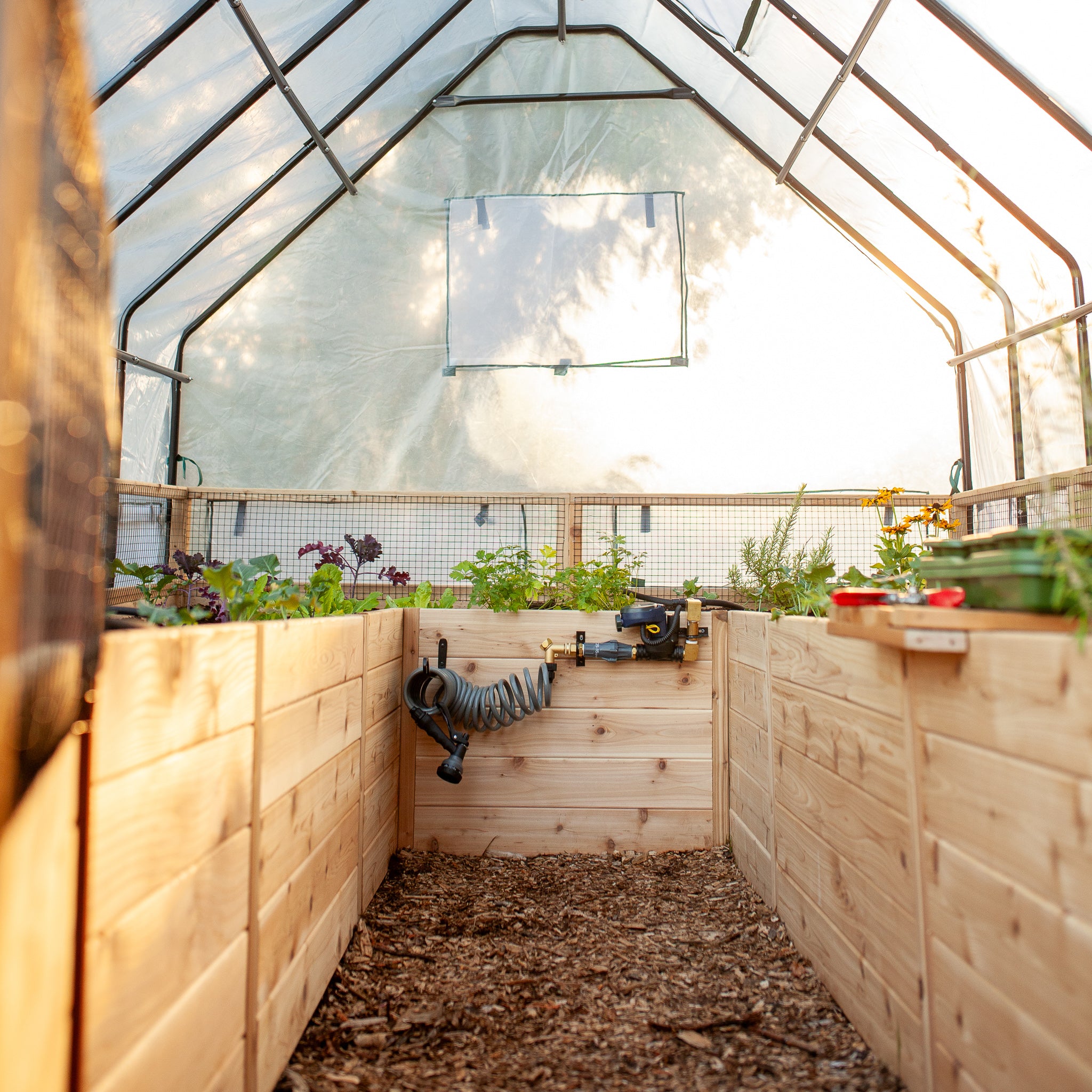 Raised cedar garden bed with greenhouse cover, lifestyle photo