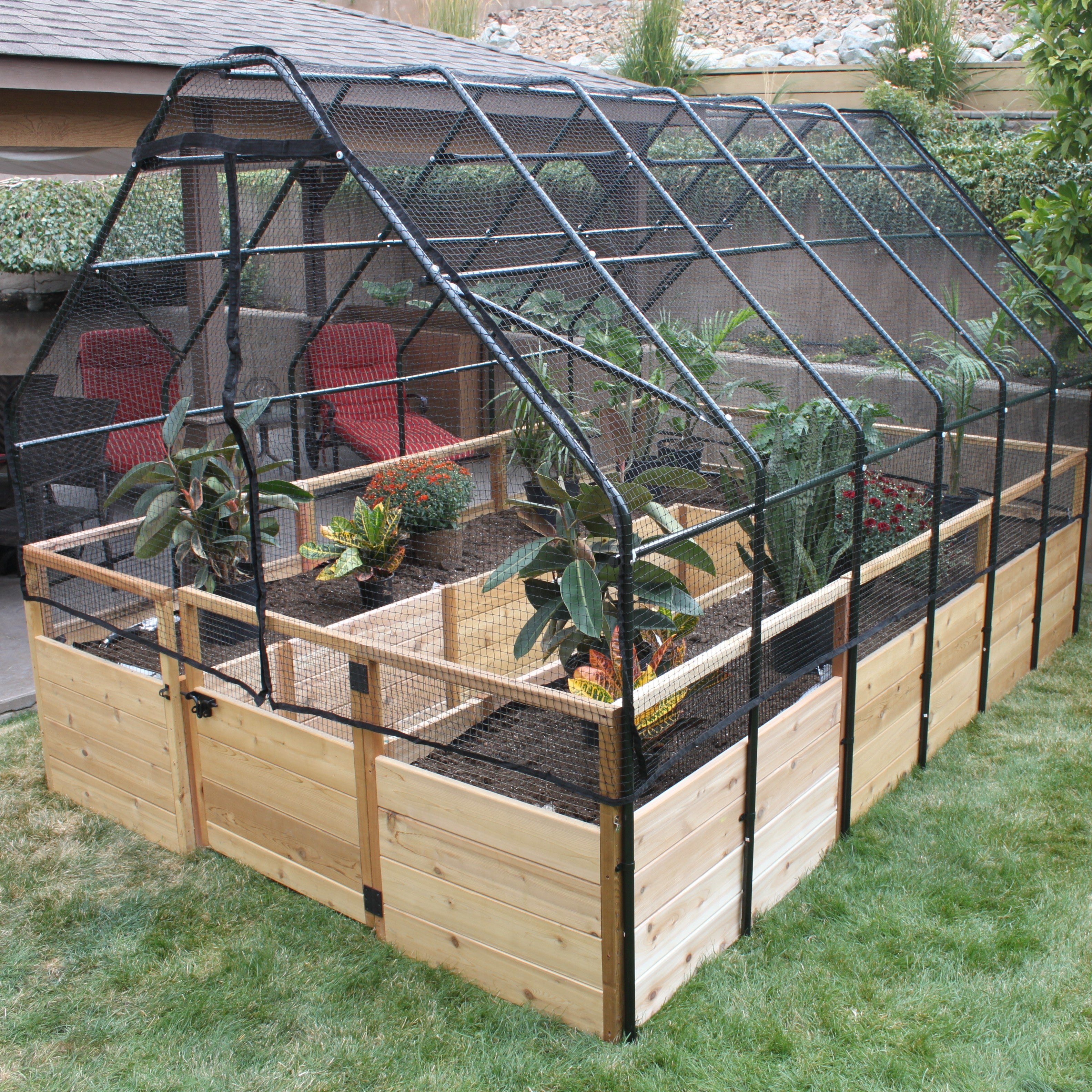 Cedar raised garden bed with bird net fence installed in a garden