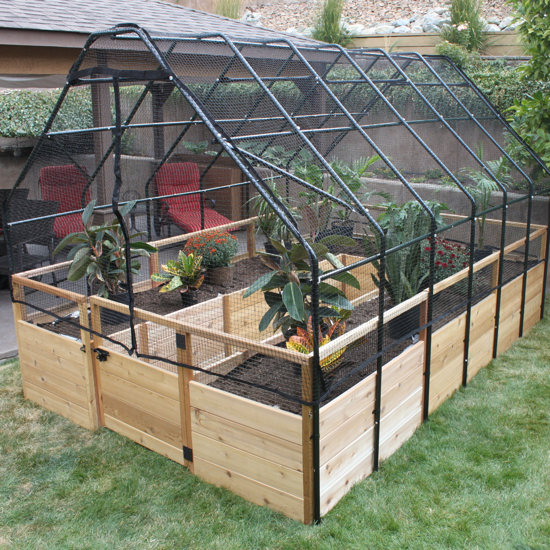 Cedar raised garden bed with bird net fence installed in a garden