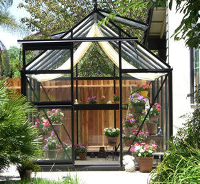 Junior Victorian Greenhouse installed in a backyard setting