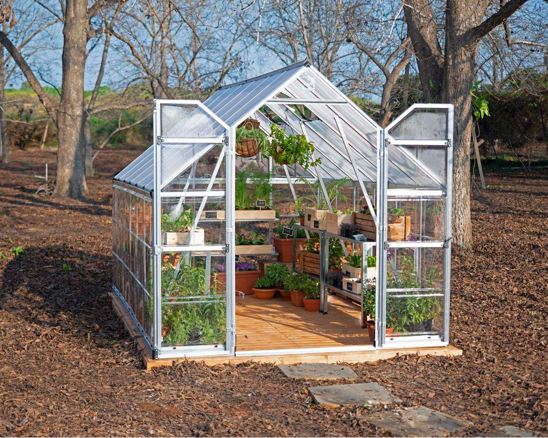 Balance greenhouse, silver frame, surrounded by plants