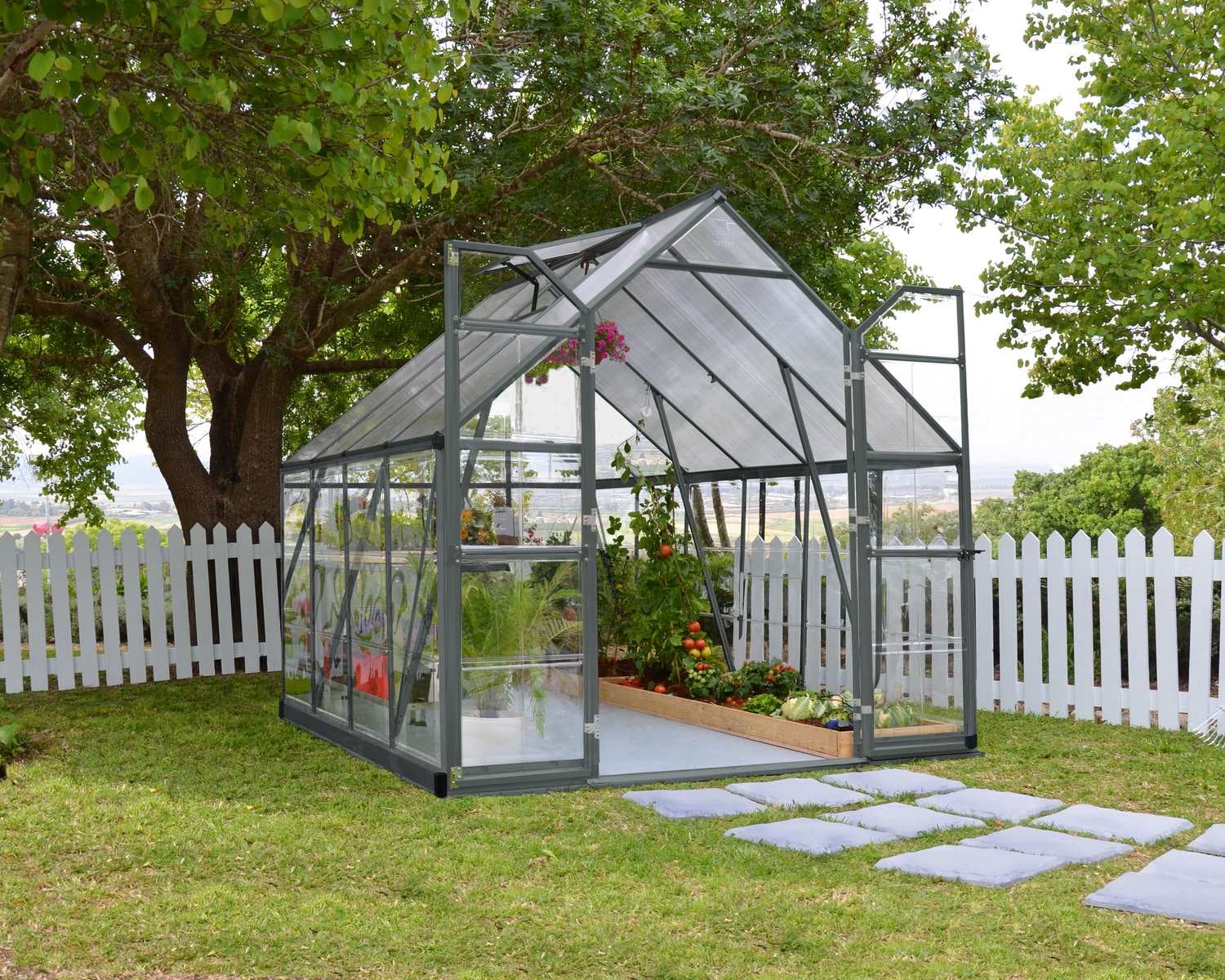 Balance greenhouse on patio surrounded by greenery and flowers