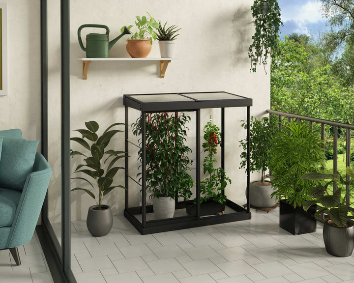 Ivy Mini Greenhouse by Canopia side view
