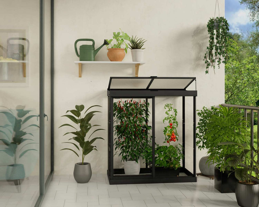 Ivy Mini Greenhouse planted angle 3