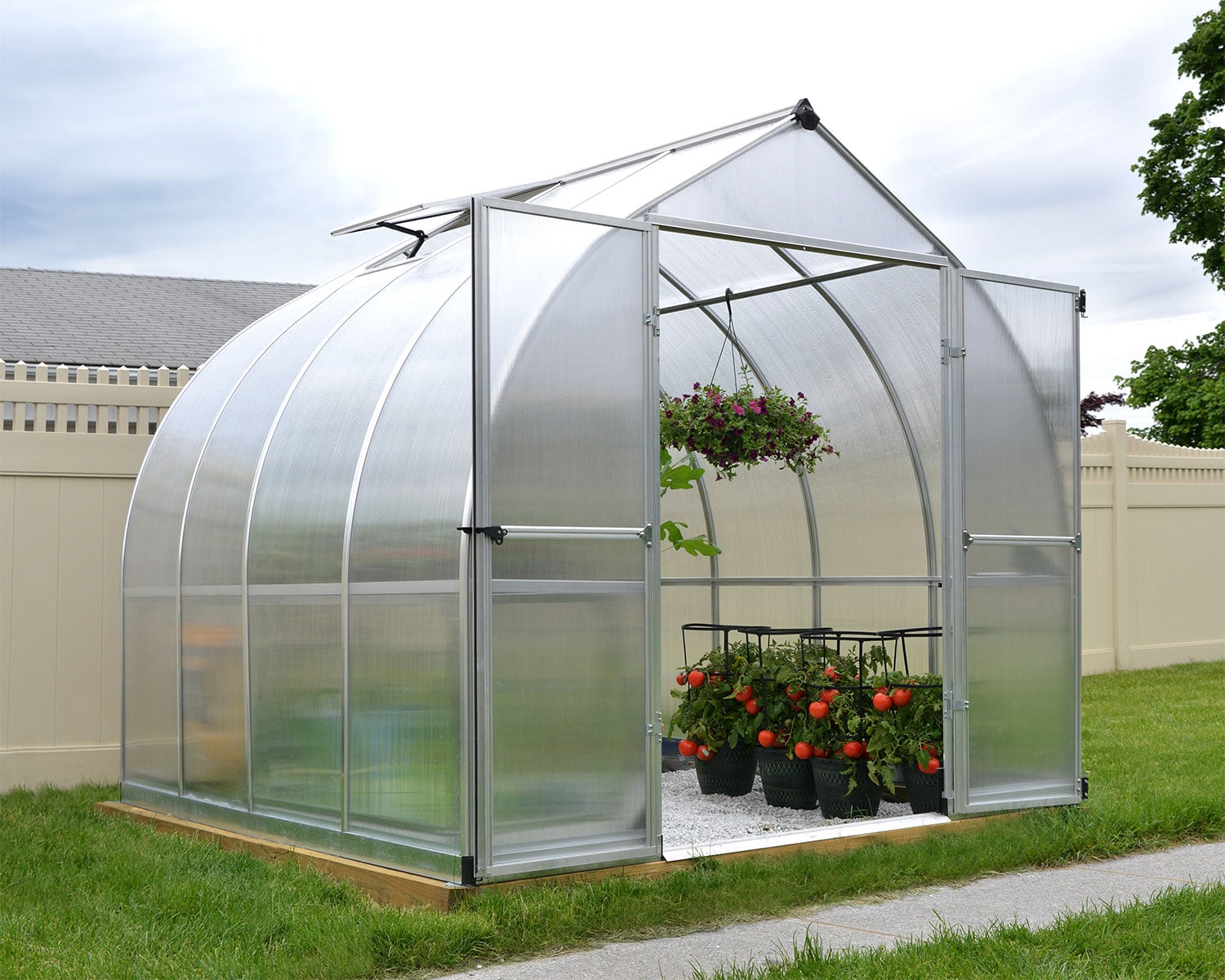 Bella 8x8 greenhouse with polycarbonate panels, surrounded by plants and tomatoes in a fenced yard