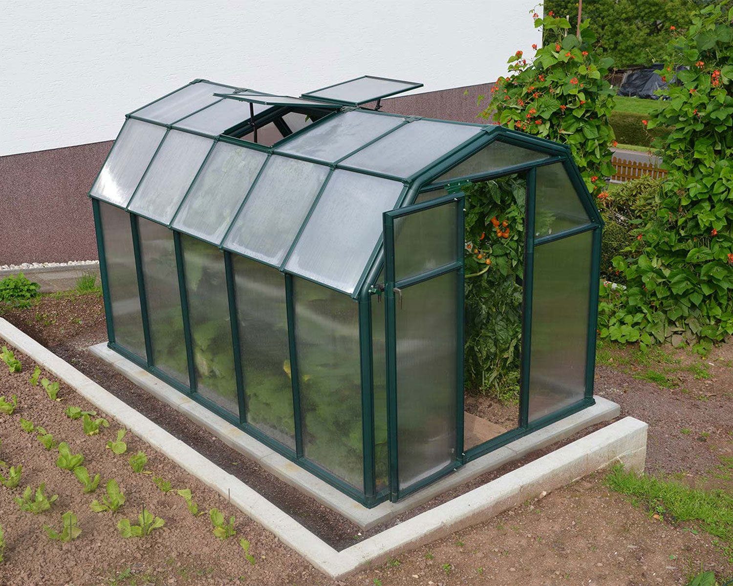 Eco Grow Greenhouse garden setting angle 1