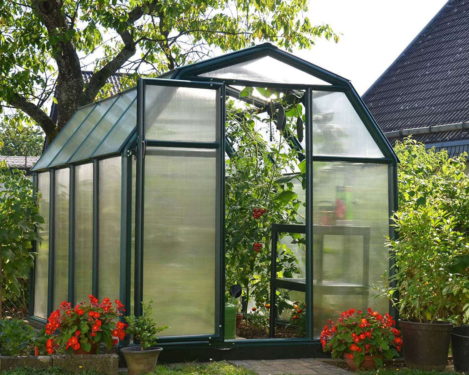Eco Grow Greenhouse Kit in a real garden setting
