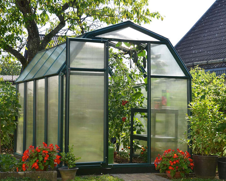 Eco Grow Greenhouse Kit in a real garden setting