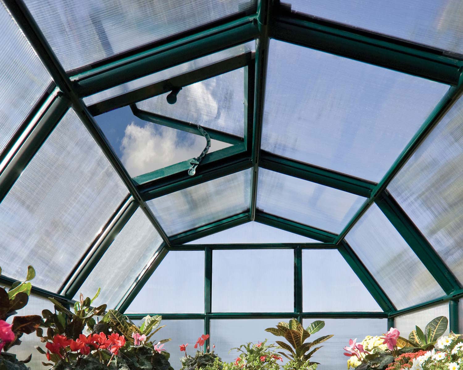Hobby Gardener Greenhouse Kit interior view with plants