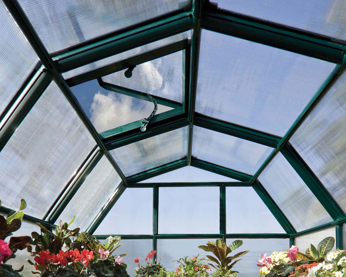 Hobby Gardener Greenhouse Kit interior view with plants
