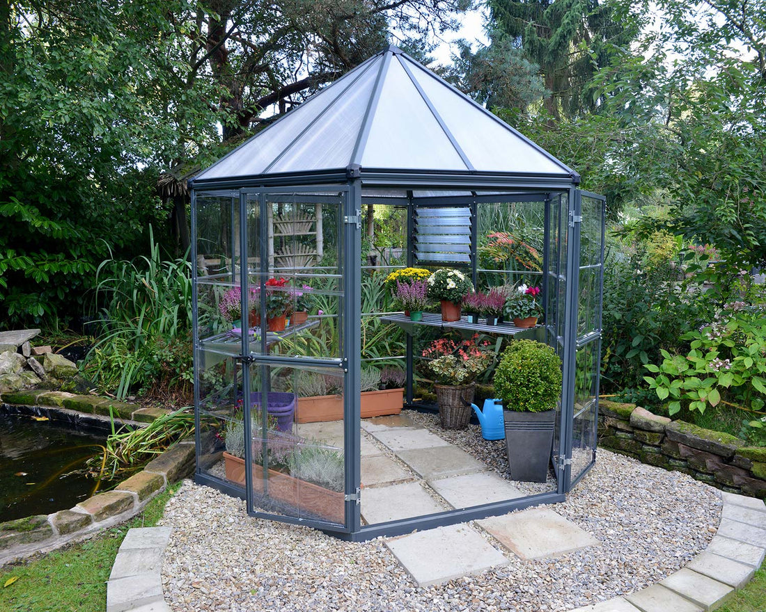 Oasis hexagonal greenhouse with silver frame, in-garden exterior shot
