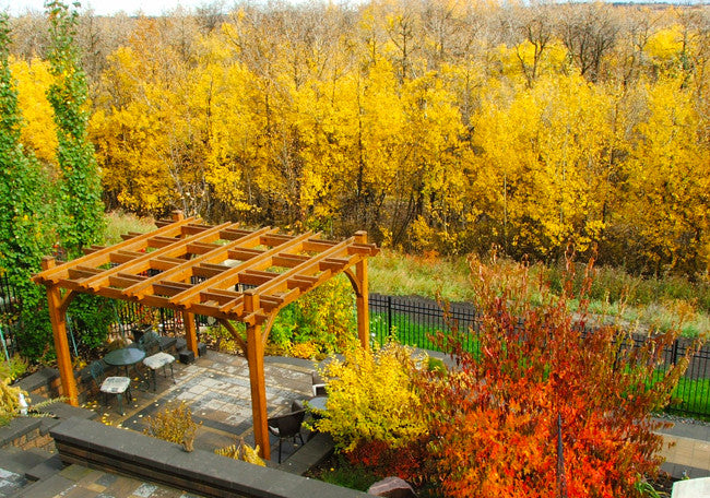 Cedar Pergola, 12x12 size, additional view