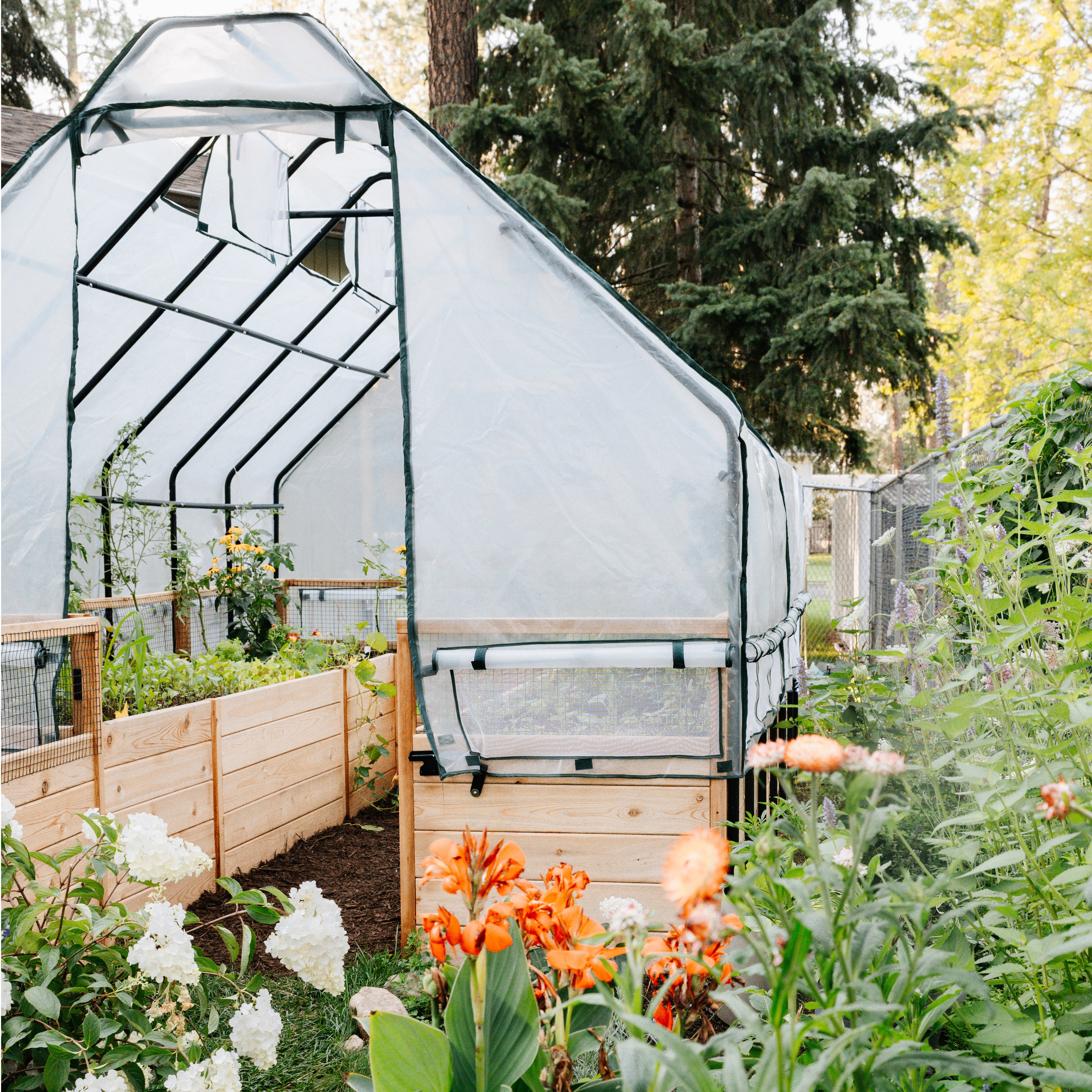 8'x12' raised cedar garden bed with greenhouse cover, elevated front view