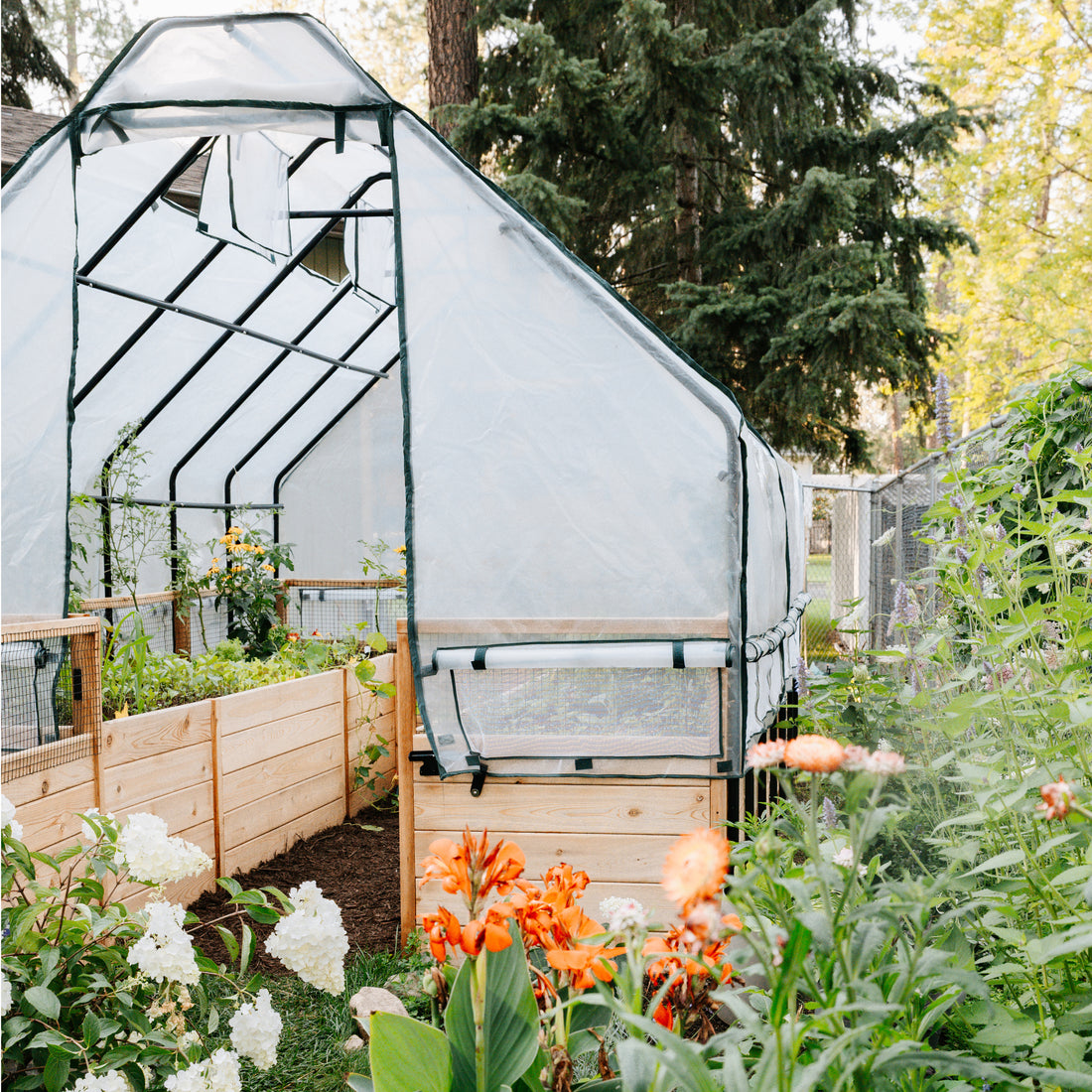 8'x12' raised cedar garden bed with greenhouse cover, elevated front view
