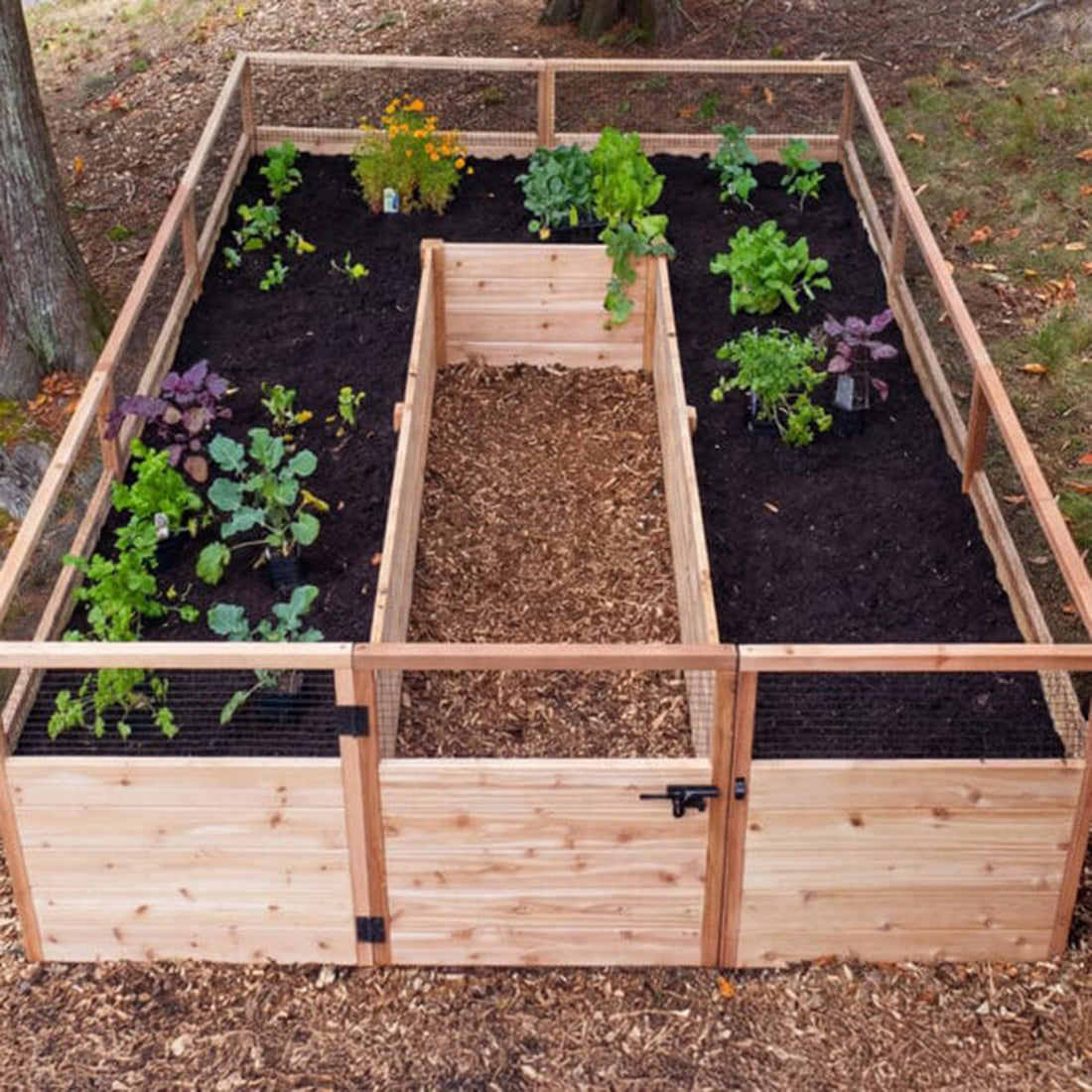 8'x12' raised cedar garden bed, exterior view
