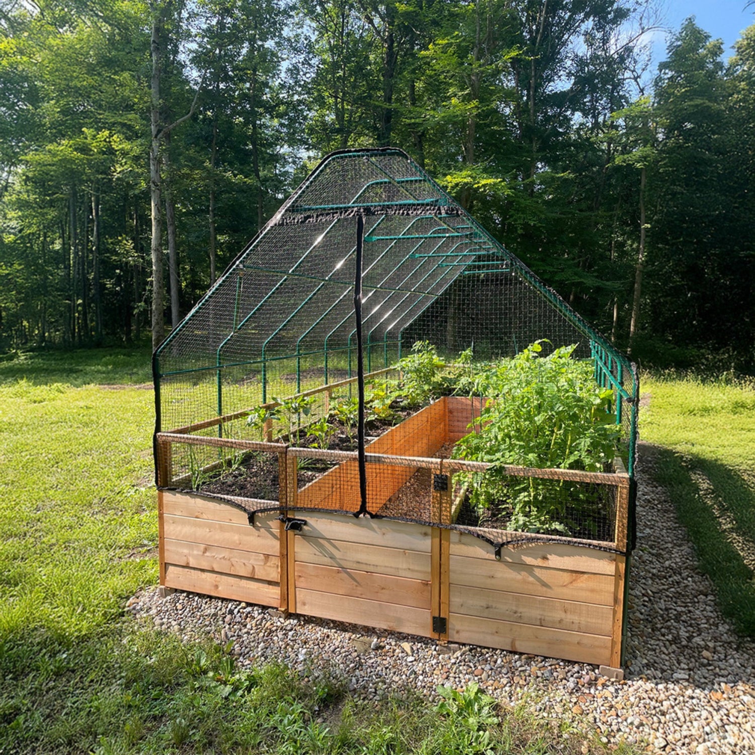8'x16' raised cedar garden bed with bird net fence, alternate product photo