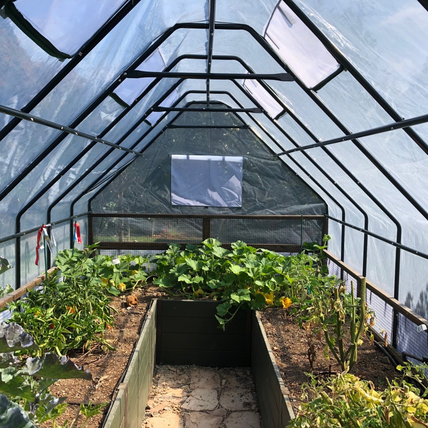8'x16' raised cedar garden bed with greenhouse cover, product photo