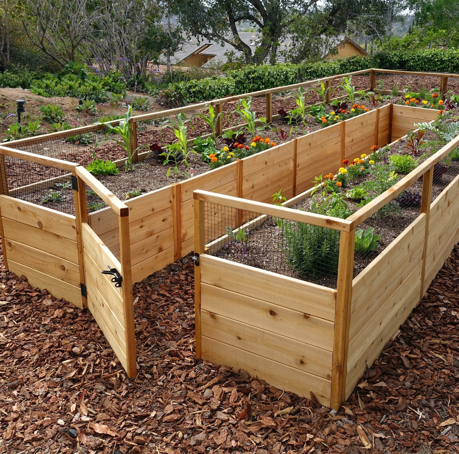 8'x16' raised cedar garden bed, front view, alternate angle