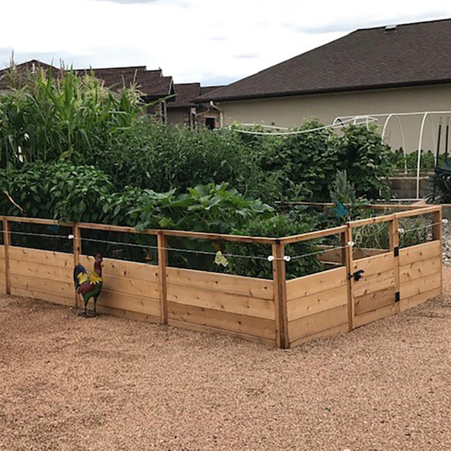 8'x16' raised cedar garden bed, product photo, alternate angle