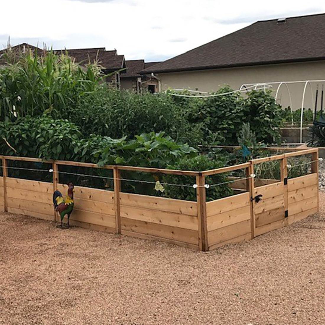 8'x16' raised cedar garden bed, product photo, alternate angle