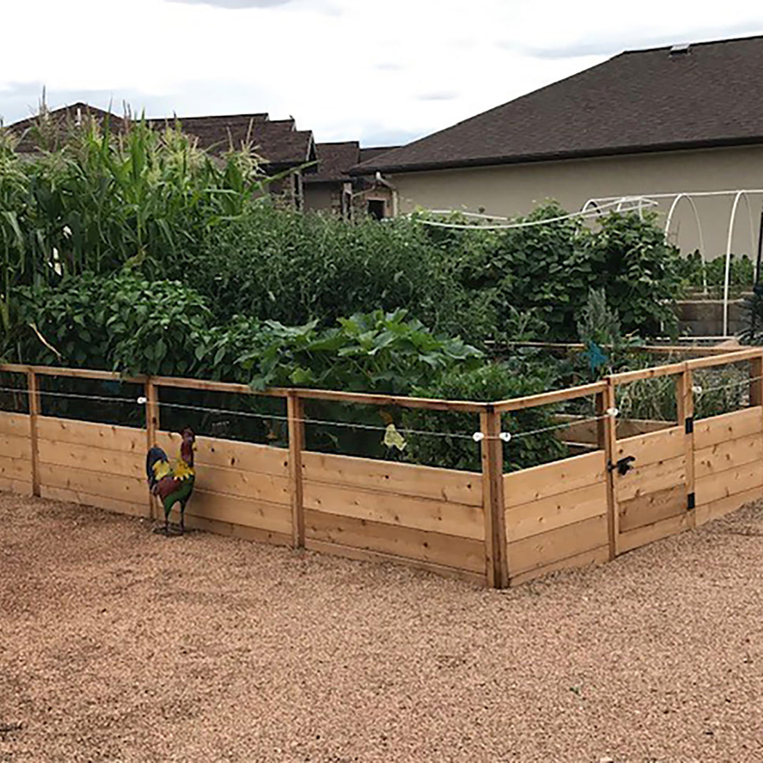 8'x16' raised cedar garden bed, left side view