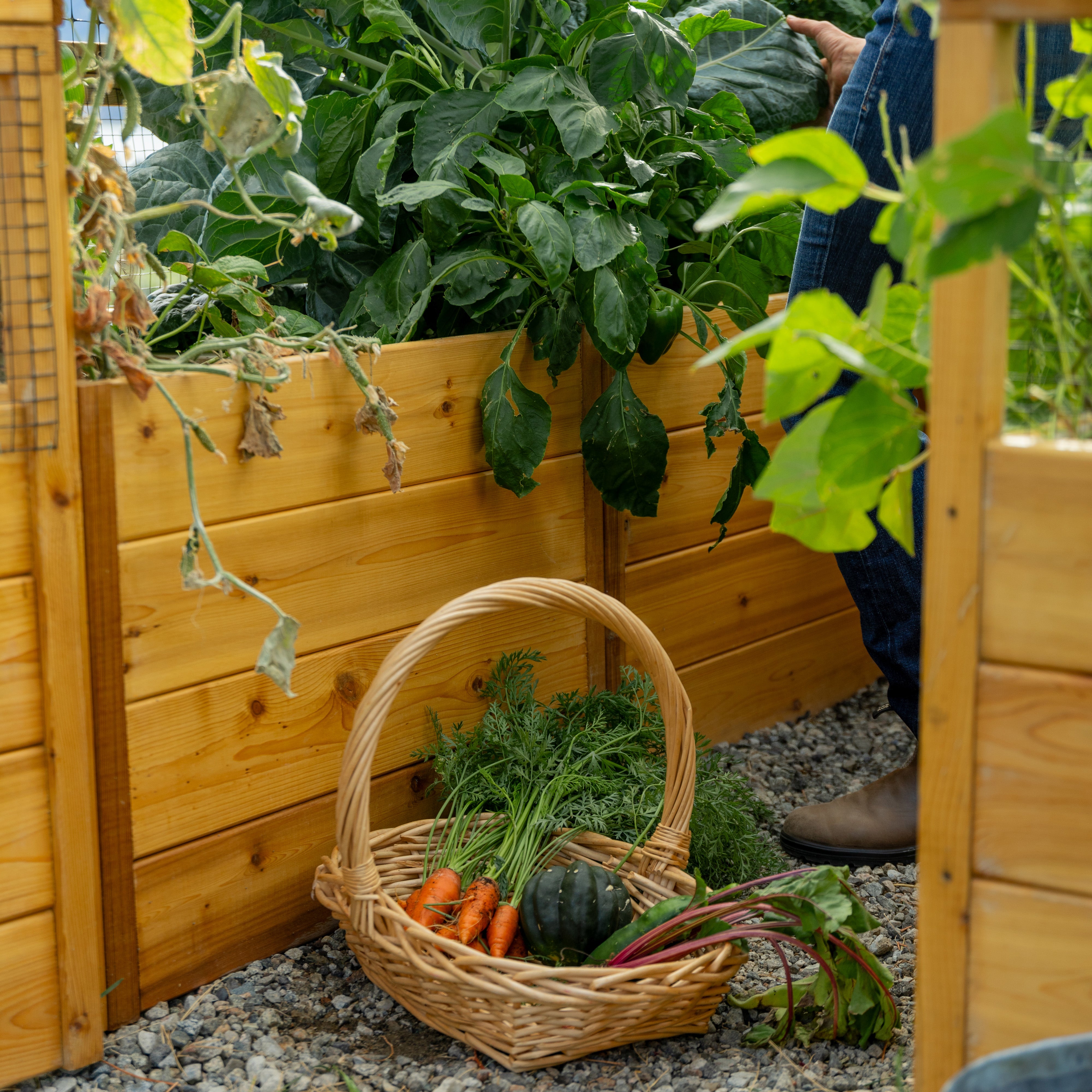 8'x8' raised cedar garden bed, left side view
