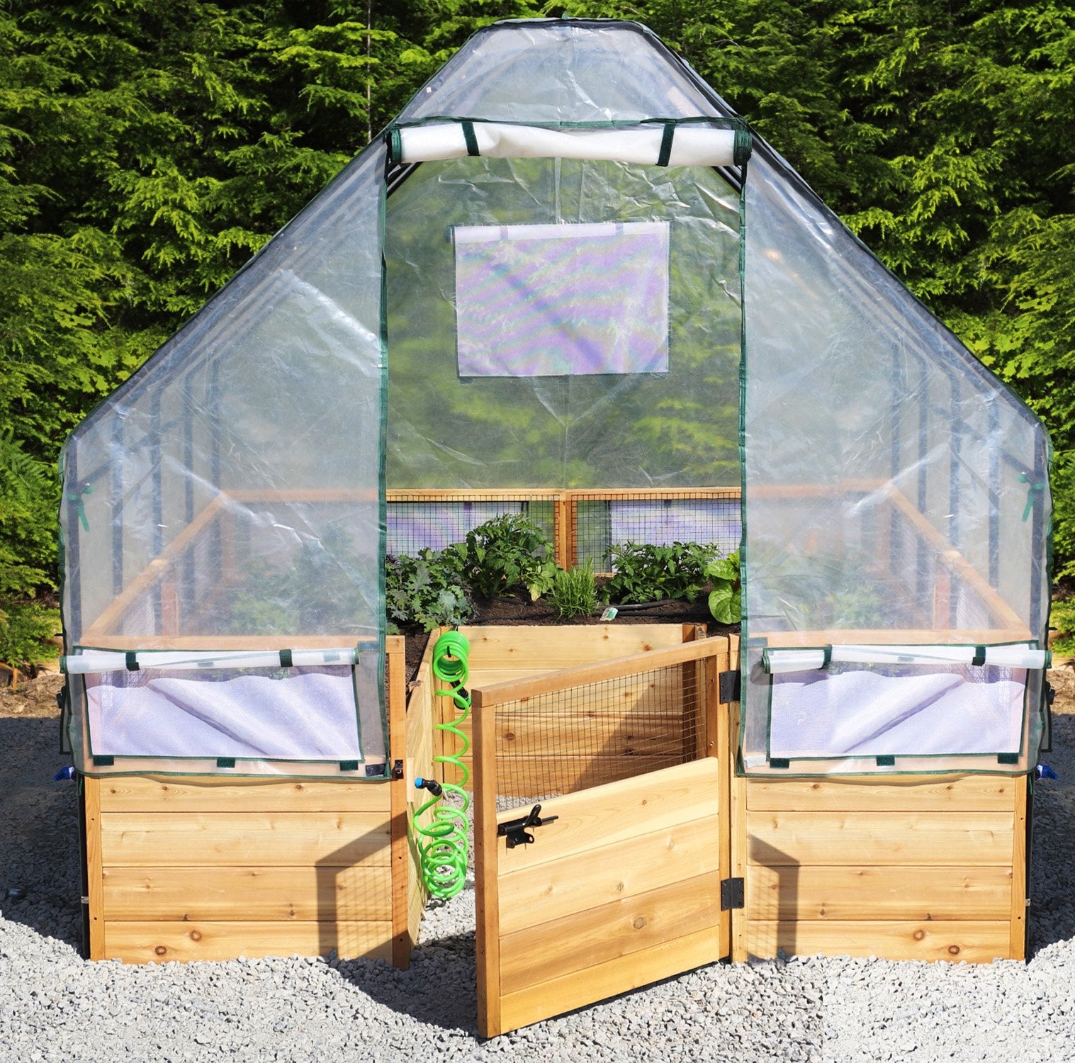 8'x8' raised cedar garden bed with greenhouse cover, front view
