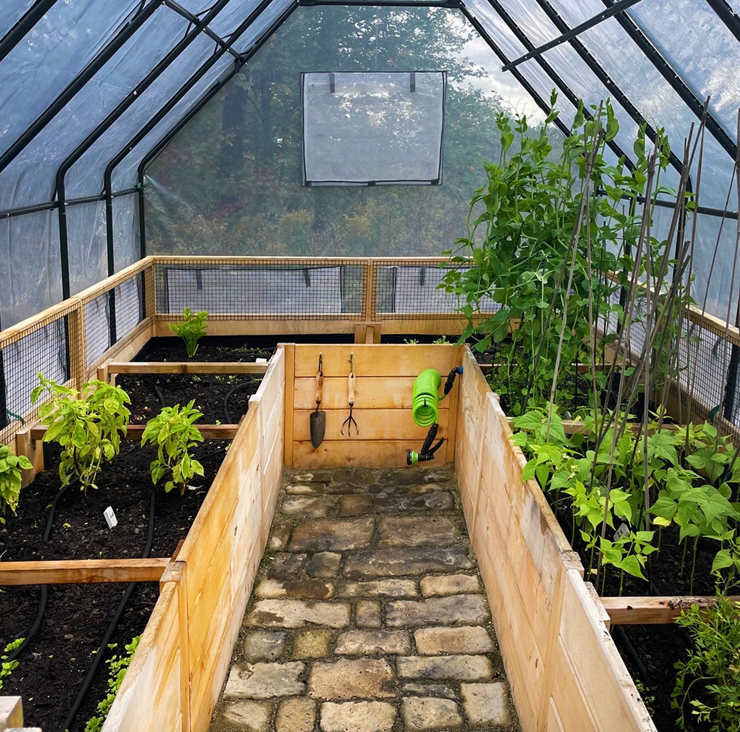8'x8' raised cedar garden bed with greenhouse cover, interior view